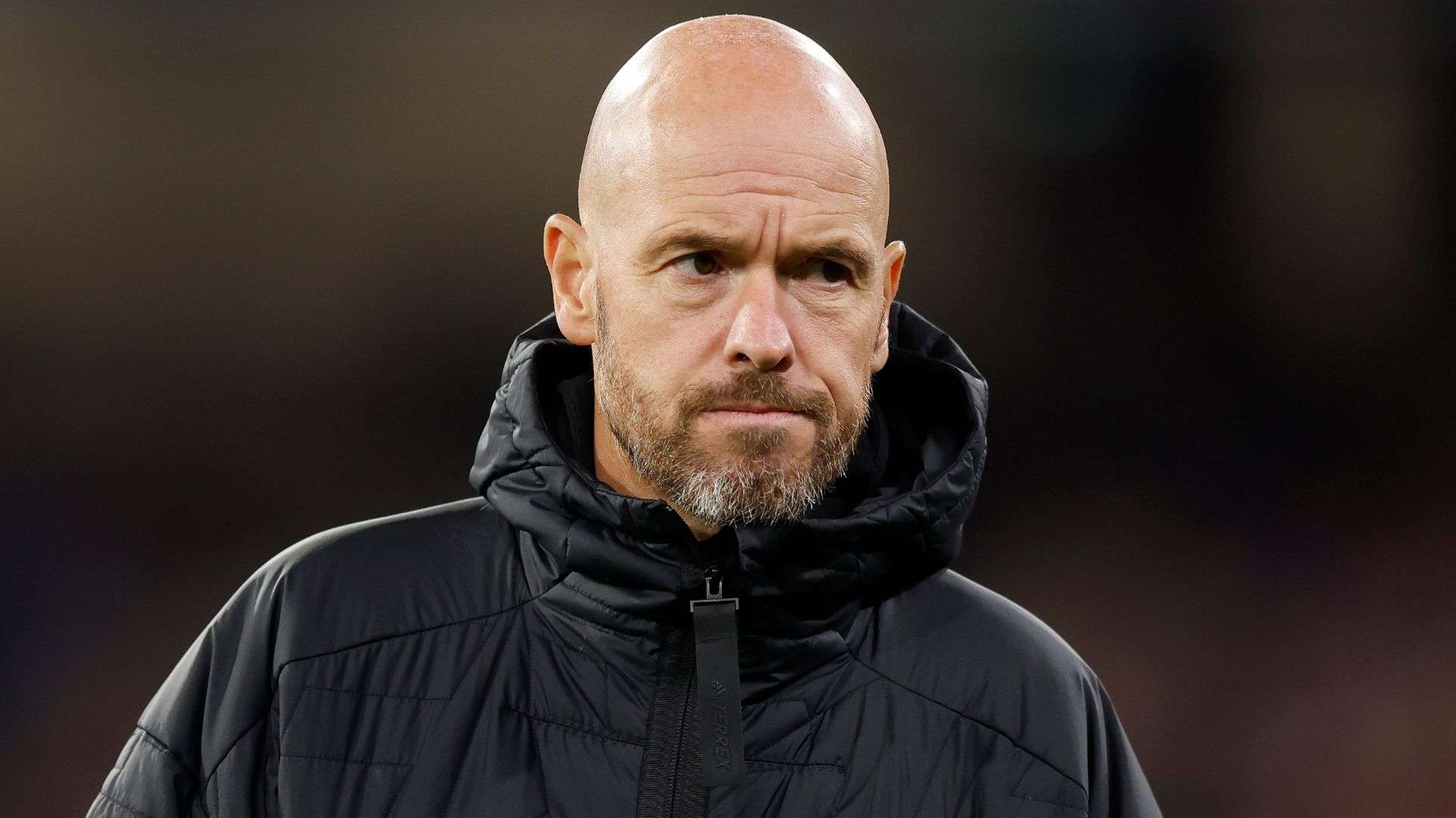 节奏依然缓 节奏依然缓